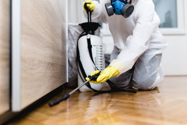 Best Pest Inspection Near Me  in Foley, MN
