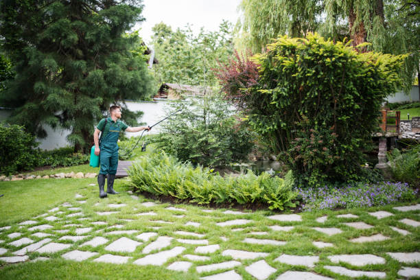 Best Affordable Pest Control Services  in Foley, MN
