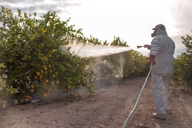 Trusted Foley, MN Pest Control Experts