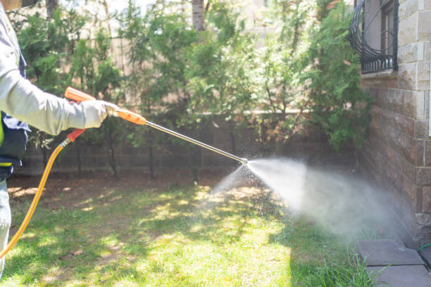 Best Residential Pest Control  in Foley, MN