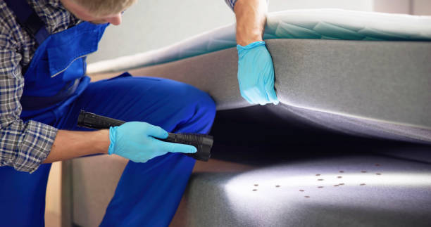 Best Local Pest Control Services  in Foley, MN