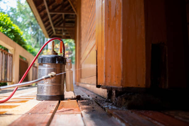 Best Best Pest Control Companies  in Foley, MN
