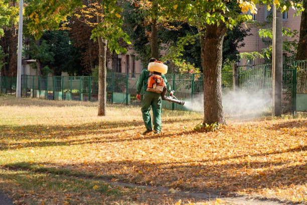 Best Pest Removal Services  in Foley, MN